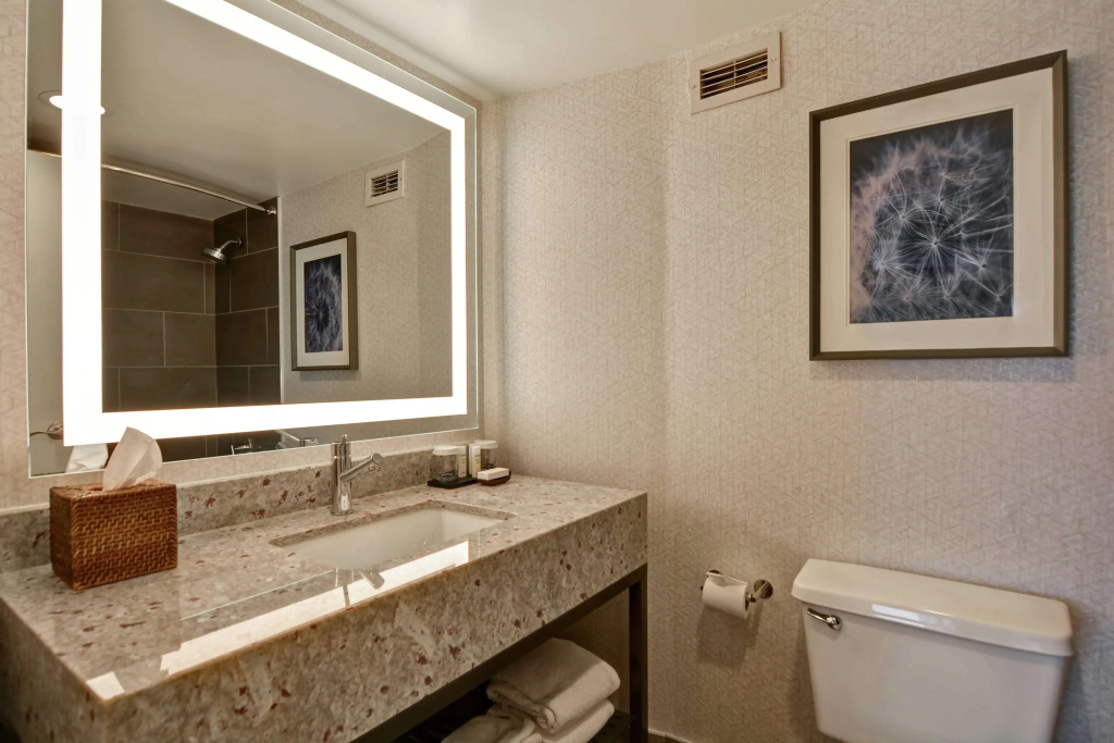 Embassy Suites by Hilton Minneapolis Airport - Général