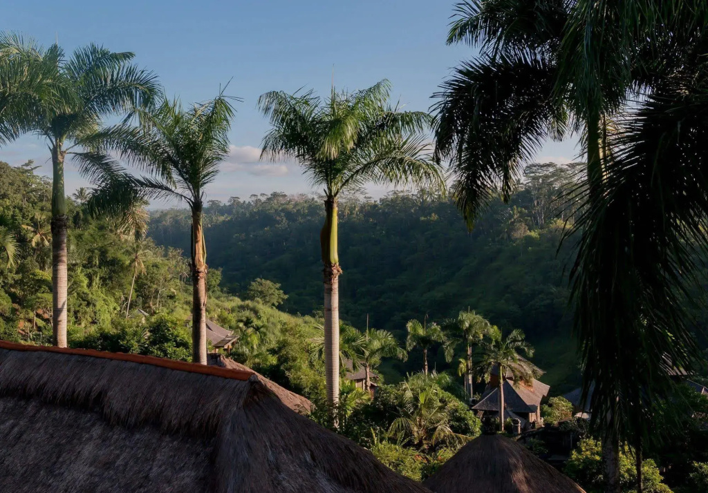 The Payogan Villa Resort & Spa Ubud - Général