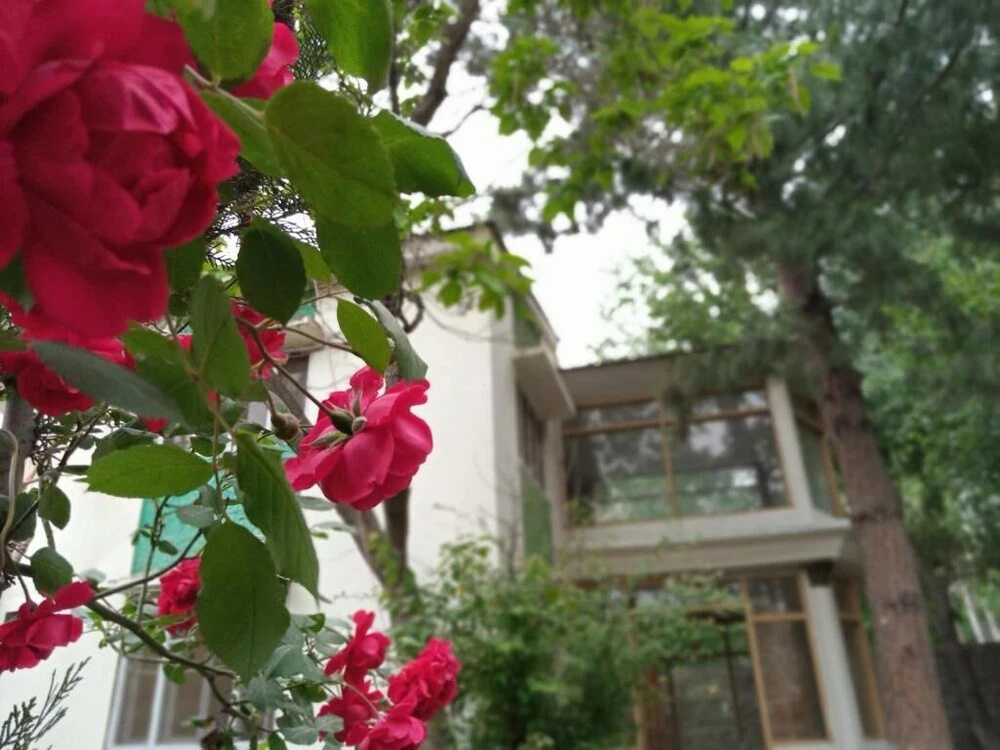 Guest House One