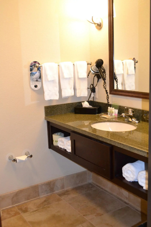 Holiday Inn Eau Claire South I-94 by IHG - Général