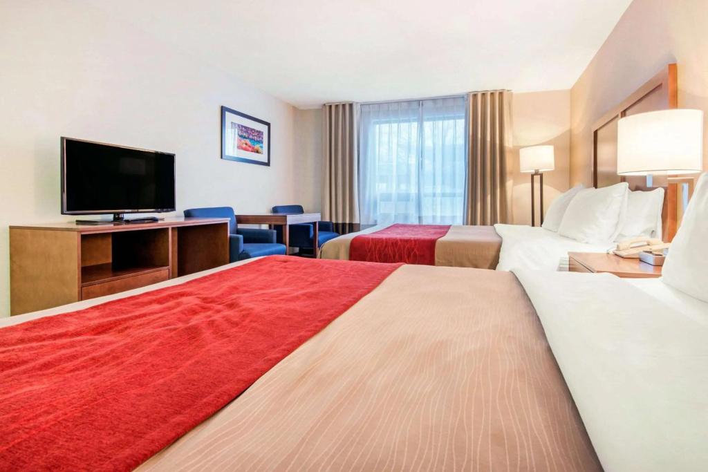 Comfort Inn Fallsview — 5