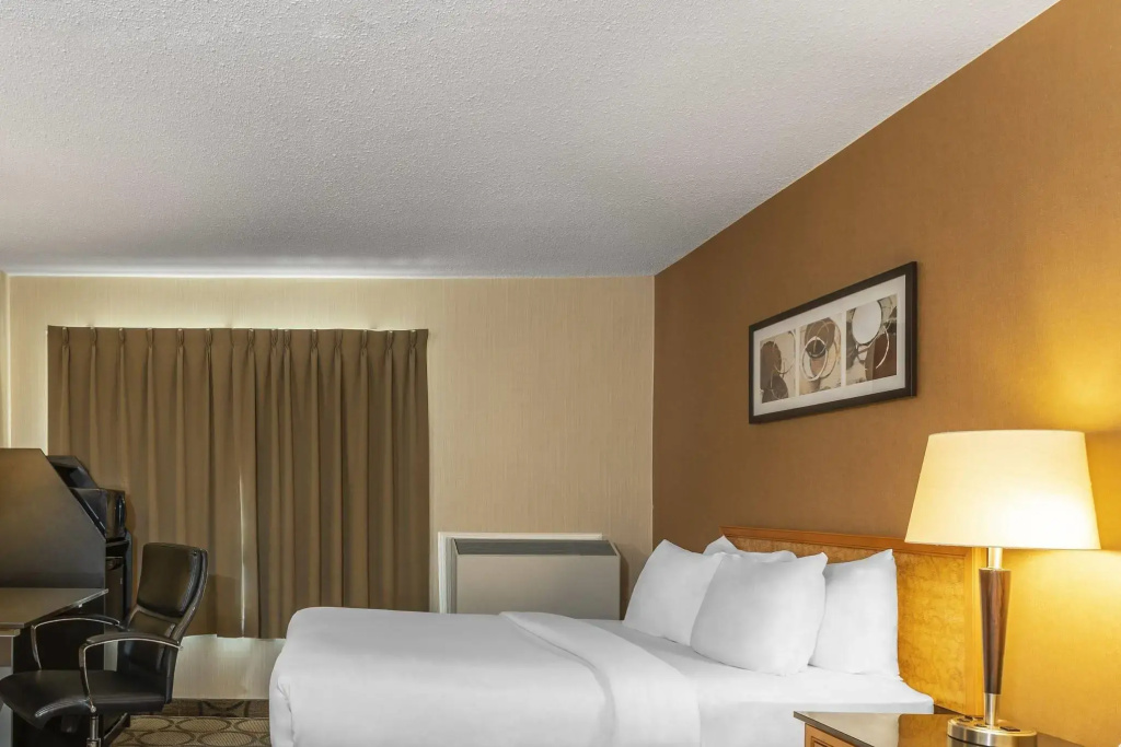 Business Double room (full double bed)