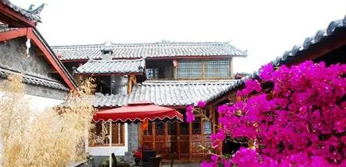 Rose of Ancient Town - Lijiang