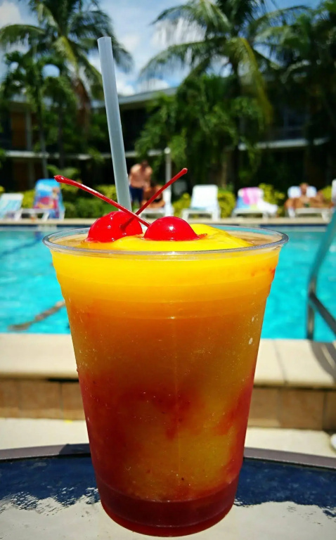 Dolphin Key Resort - Général