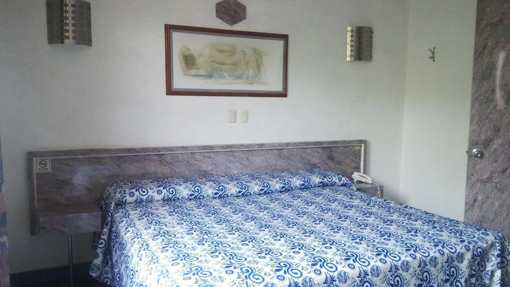 Hotel Panuco - Général