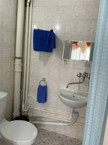 Нива - фото 9