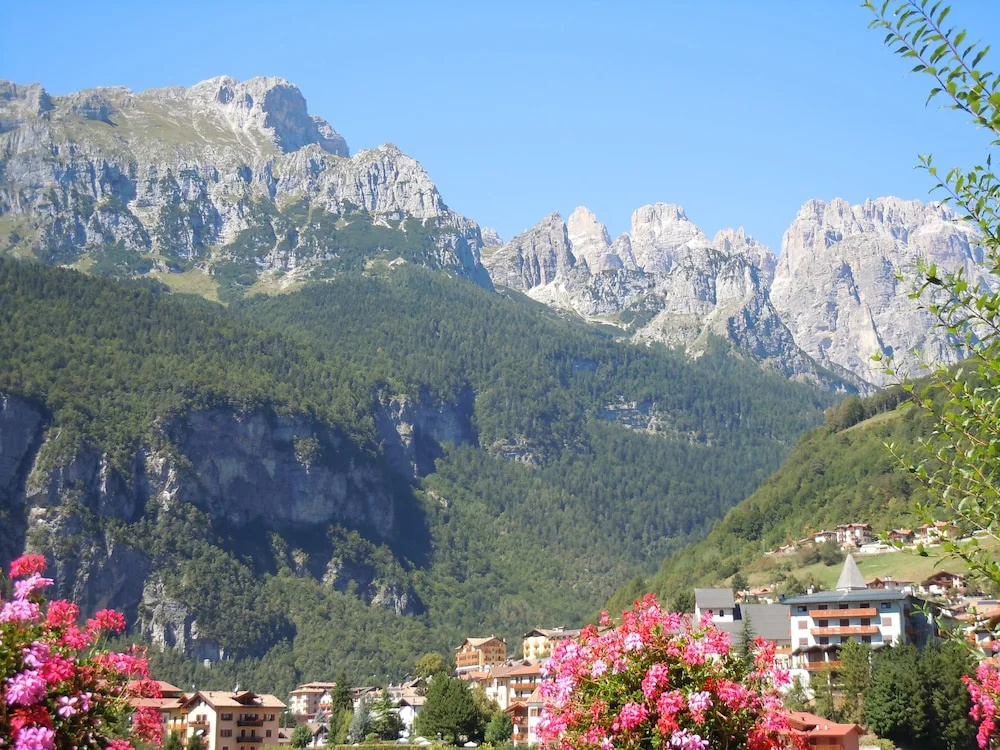 Superior Double room with mountain view (full double bed)