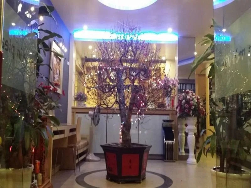 Mai Villa Hotel 2 - Tran Duy Hung