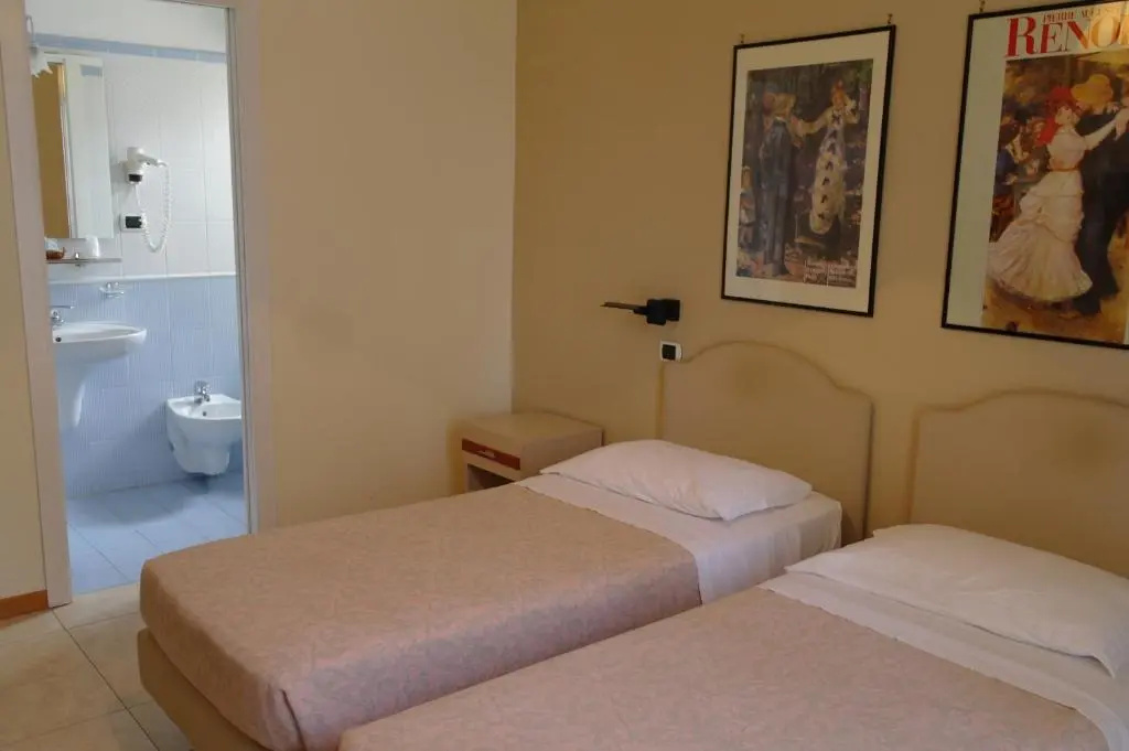 Standard Double room (twin beds)