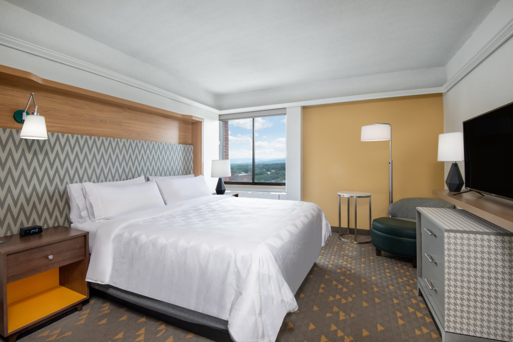 Holiday Inn & Suites Pittsfield-Berkshires by IHG - Général