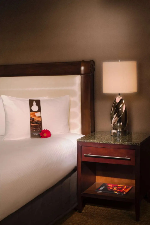 Hilton Minneapolis - Chambres