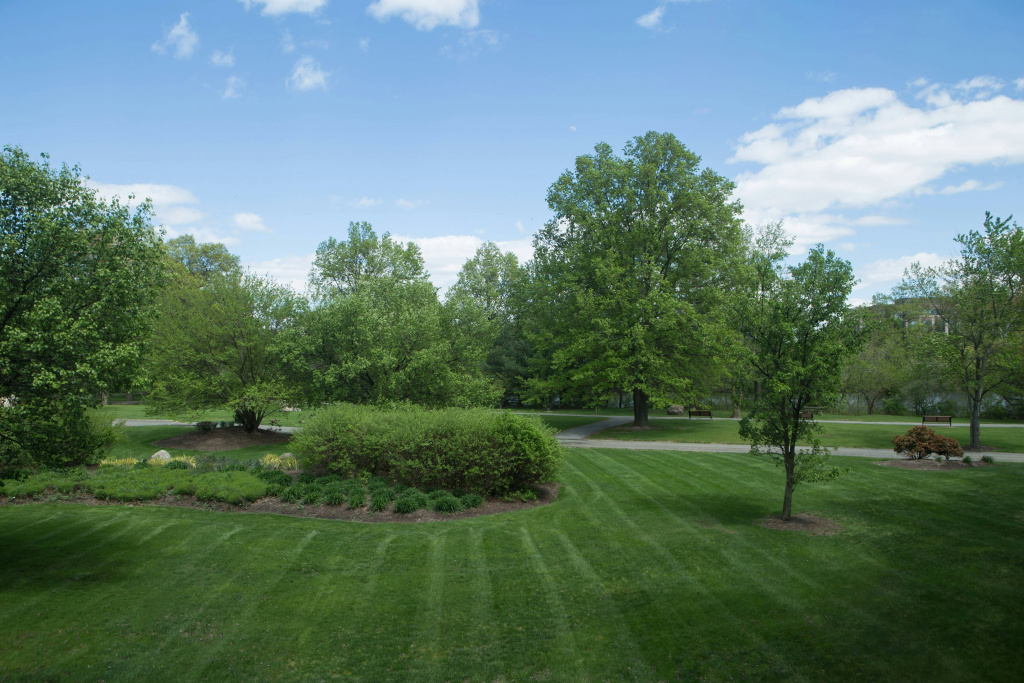 Hotel photo 46