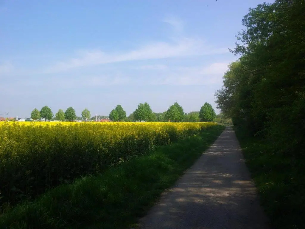 Hotel Cafe Galerie - фото 14