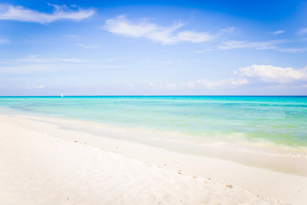 The Reef Playacar Beach Resort & Spa - Général