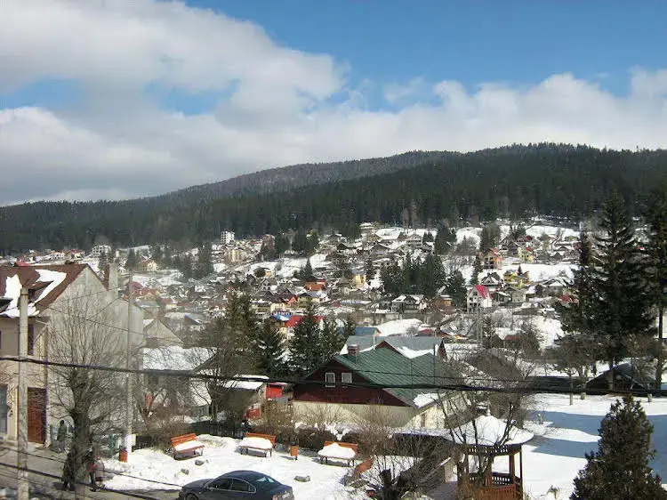 Pension Casa Dan - фото 11