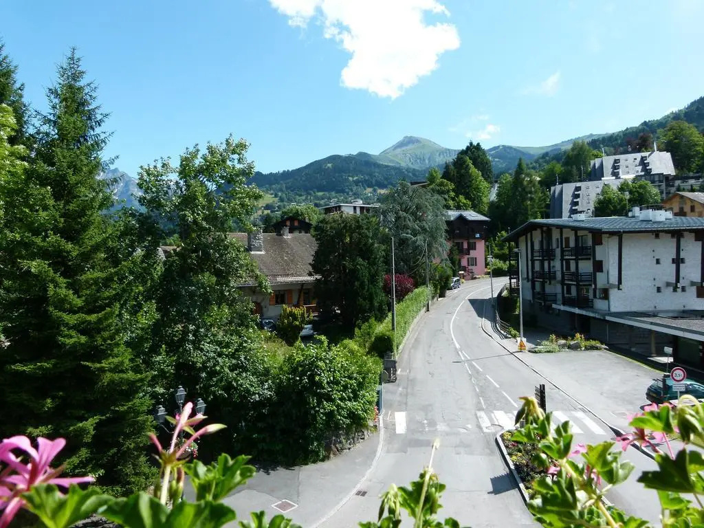 Chalet Liberty Mont-blanc - Général