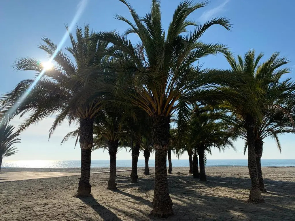 Beach & Waterfront
