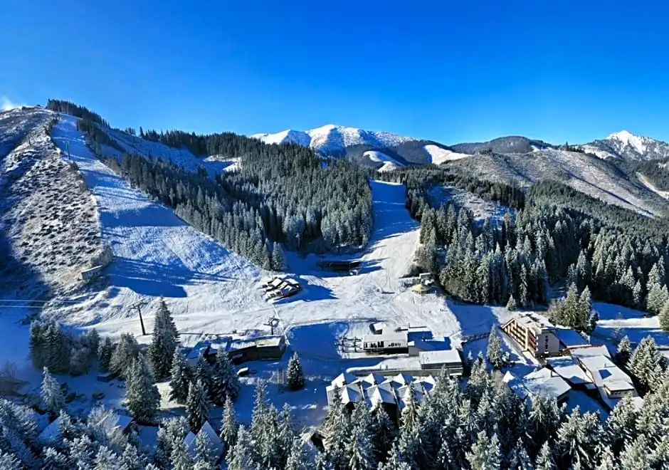 Hotel Ski and Fun