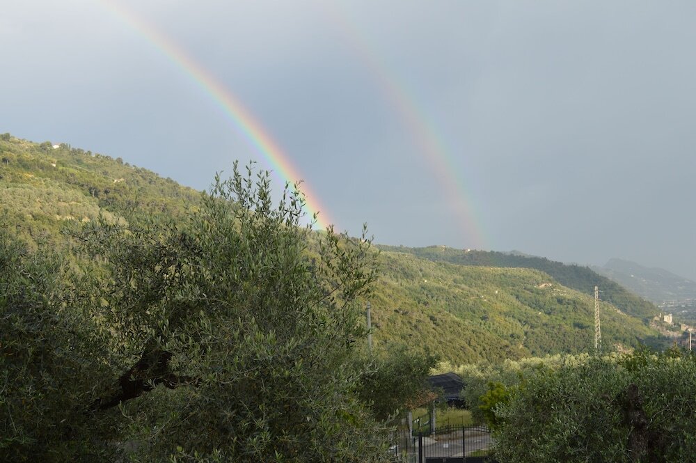 Image 24