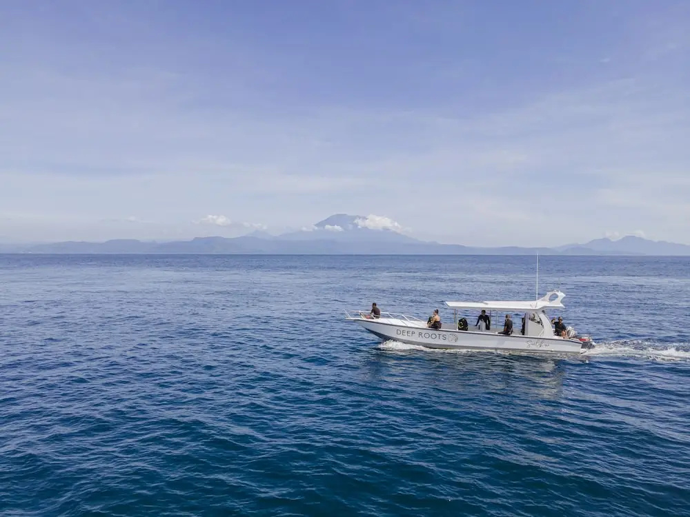Deep Roots Dive & Yoga Resort