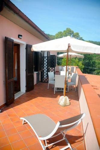 Balcony & Terrace