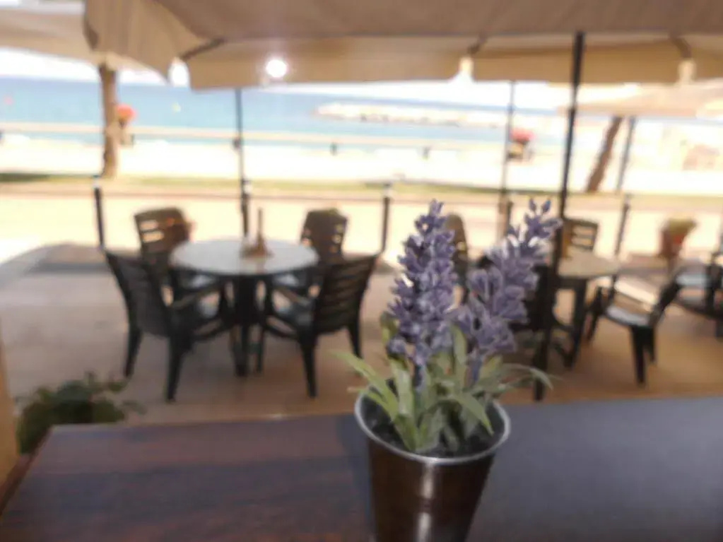 Hotel photo 28