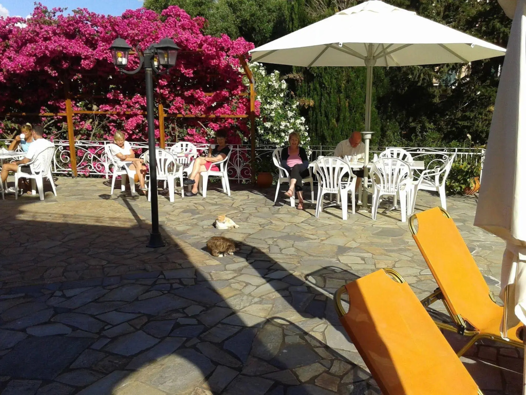 Hotel photo 20