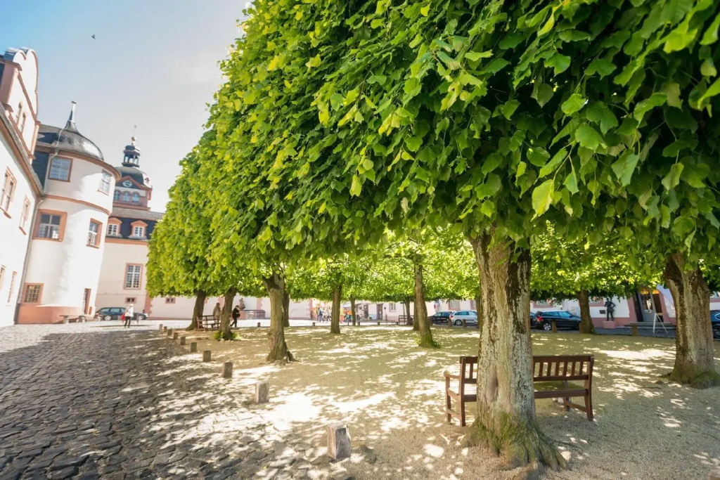 Schlosshotel Weilburg - Général