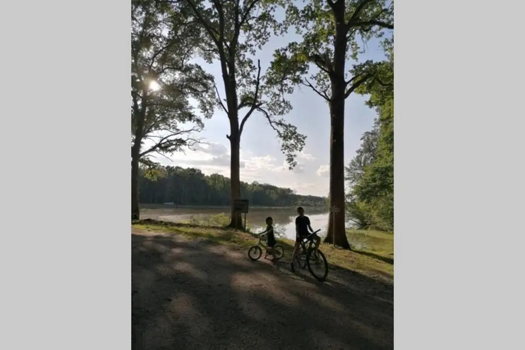 Afficher la photo 7 — Le Cottage des Sablons près du zoo de Beauval