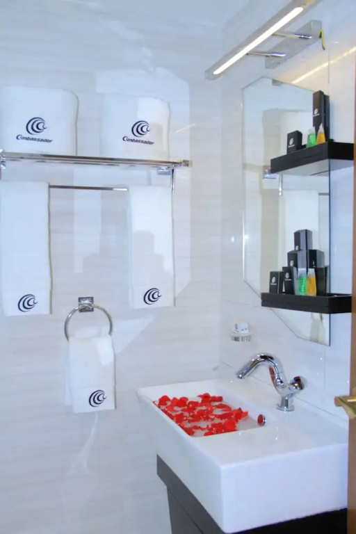 Bole Ambassador Hotel - Chambres