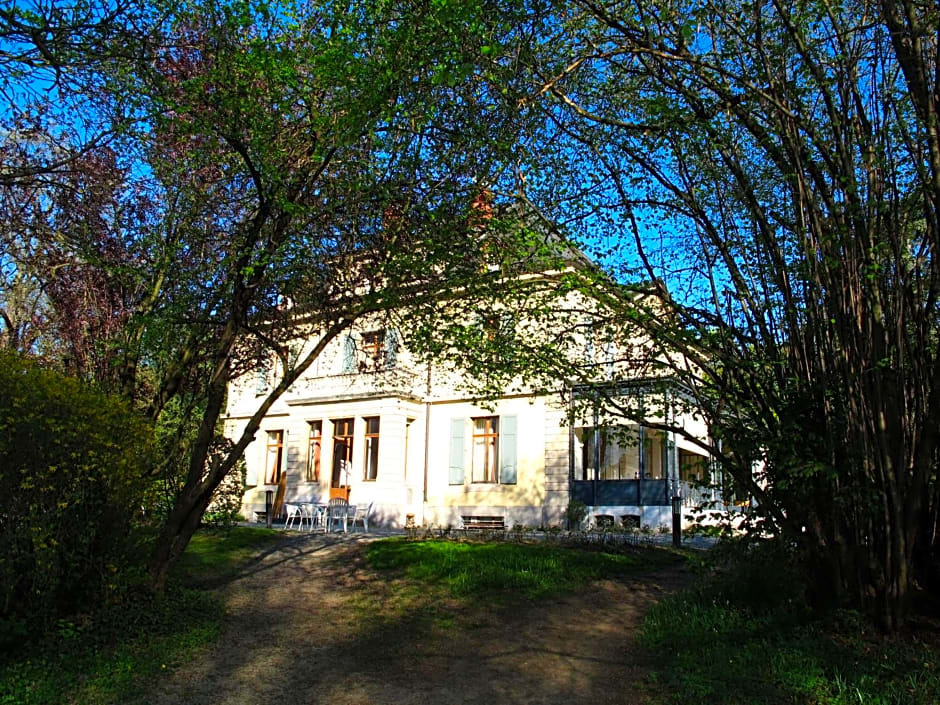 Image 12