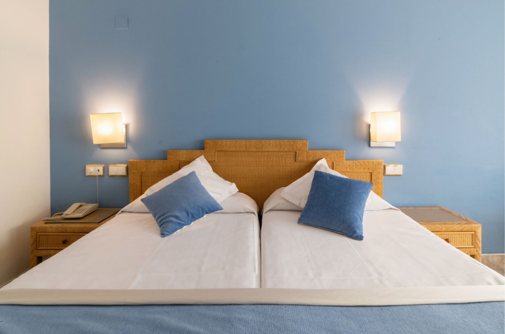 Hotel Palas Pineda - Général