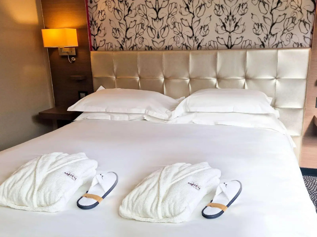 Mercure Dijon Centre Clemenceau - Général