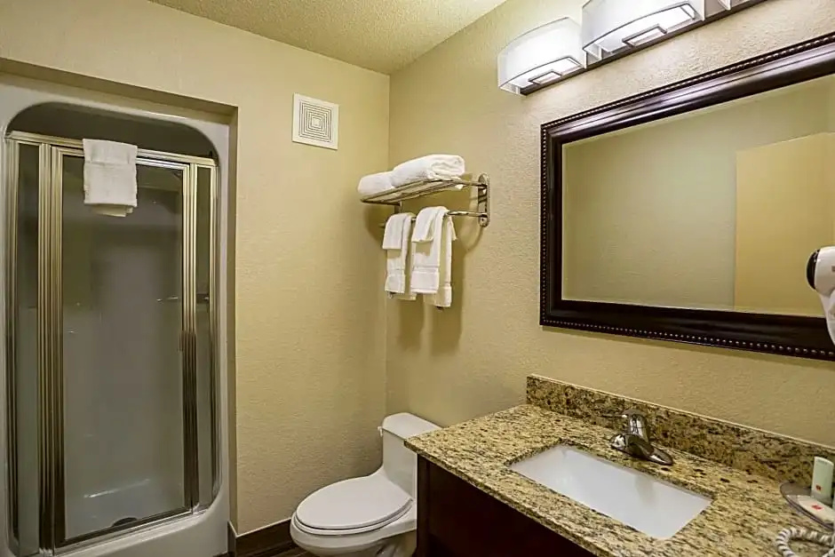 Clarion Inn & Suites Evansville Eastland Area - Chambres