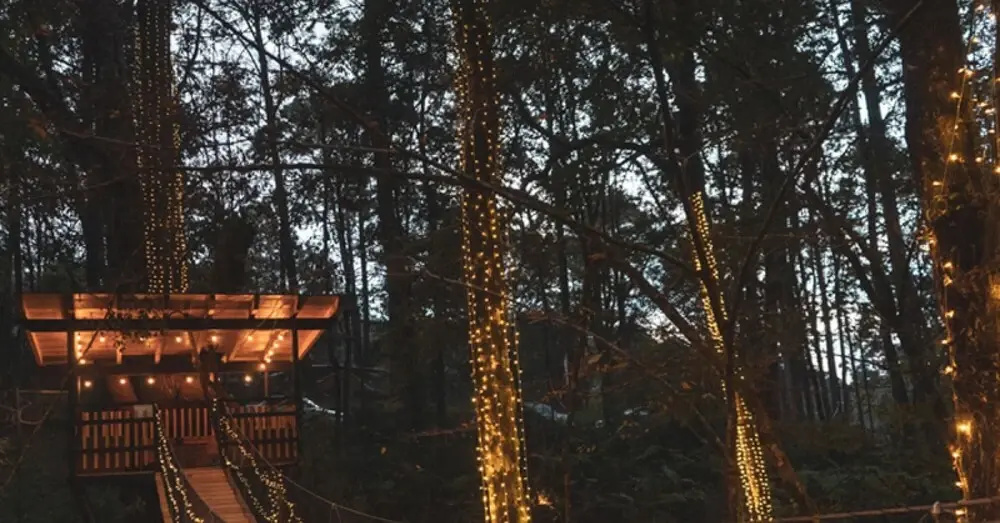 Bellota Incredible Lodge in the Forest With Private Jacuzzi