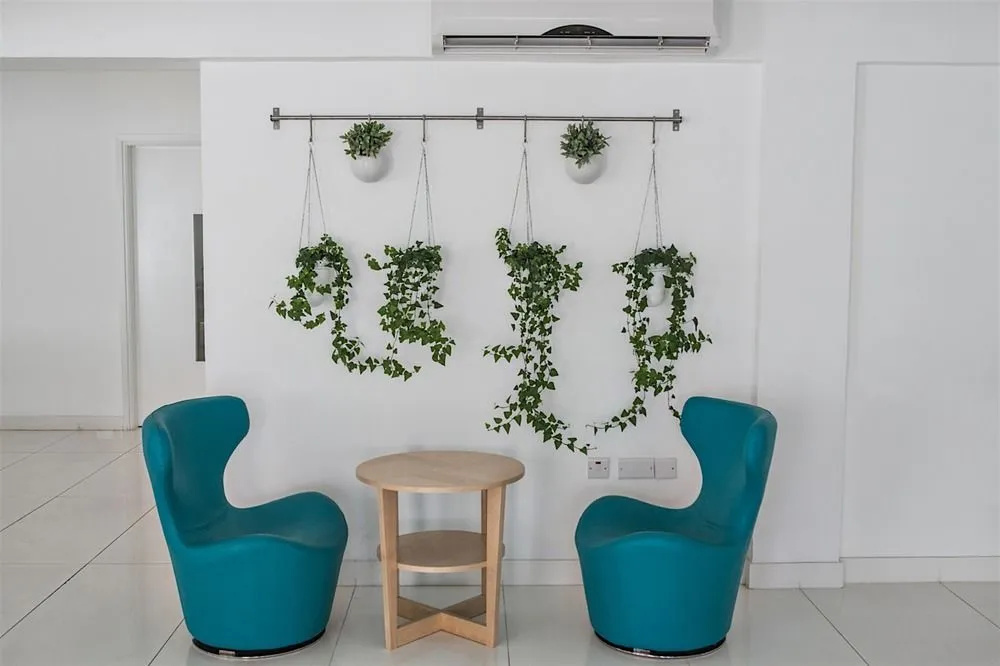 Flora Maria Hotel, Айя Напа, Кіпр мініатюра 13