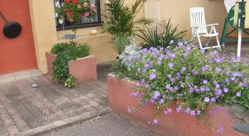 Chambres d'hôtes au Pays des Etangs