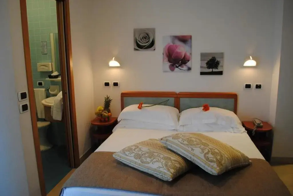 Standard Double room (full double bed)