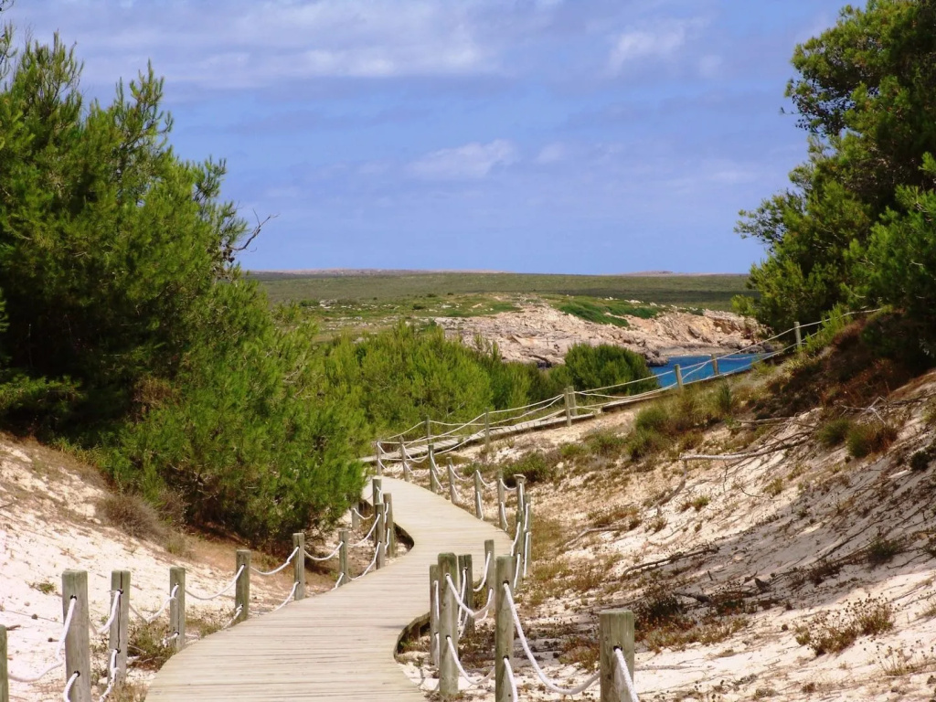 Apartamentos Posidonia