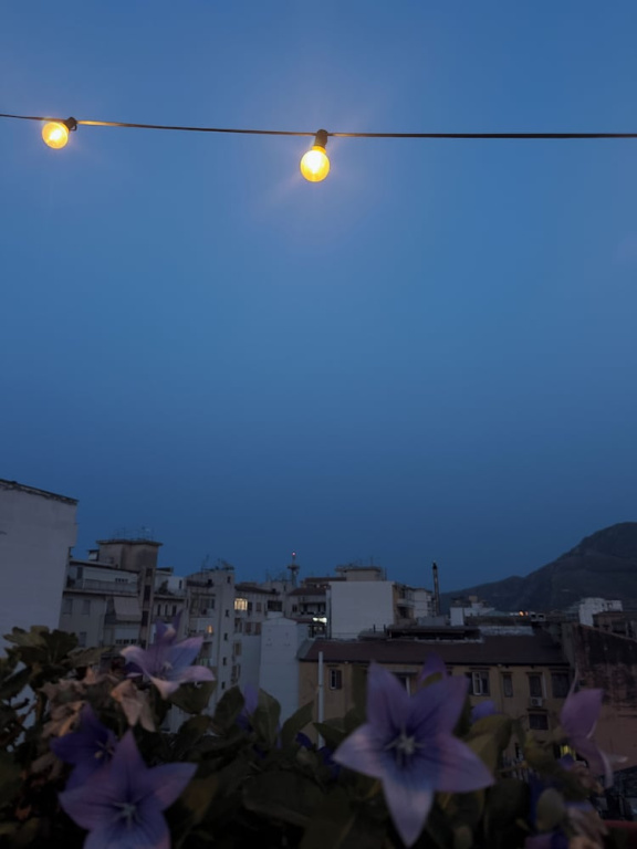 Hotel photo 37