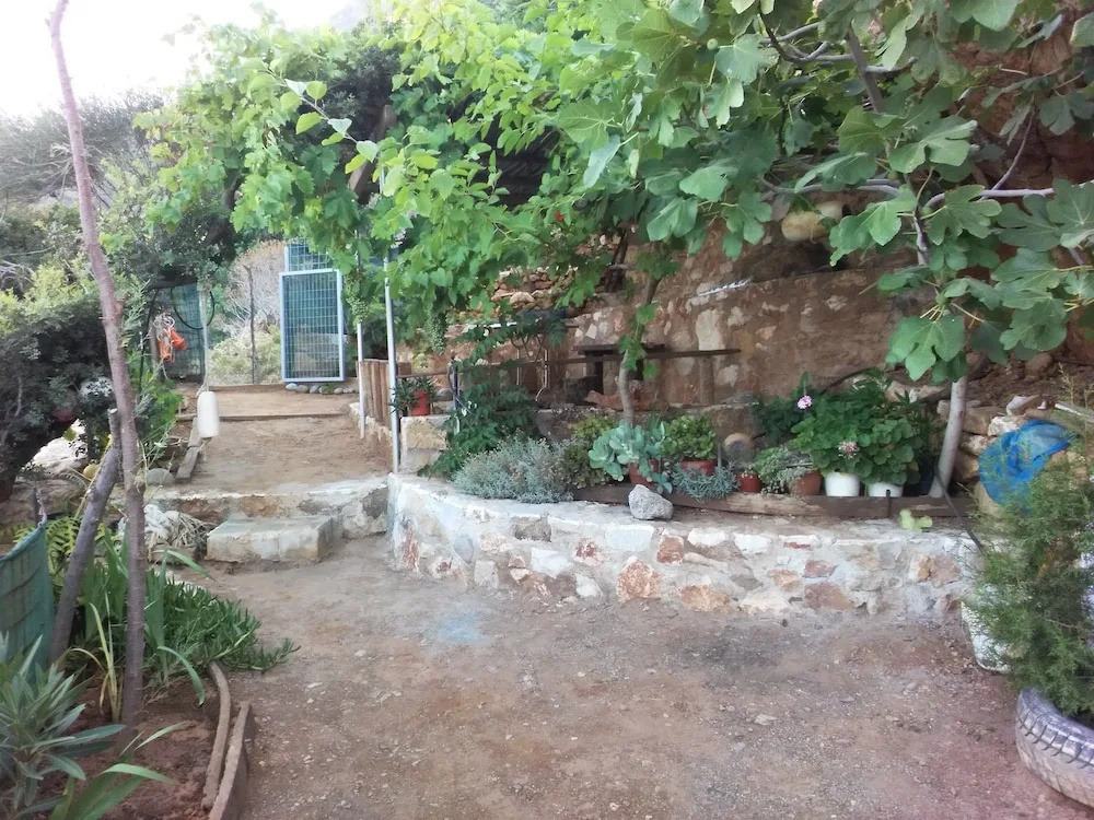 2 Annexed Apartments -private Place to Swim-large Terrace- Unlimited View