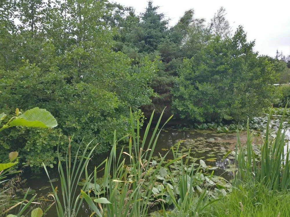 8 Person Holiday Home in Norre Nebel