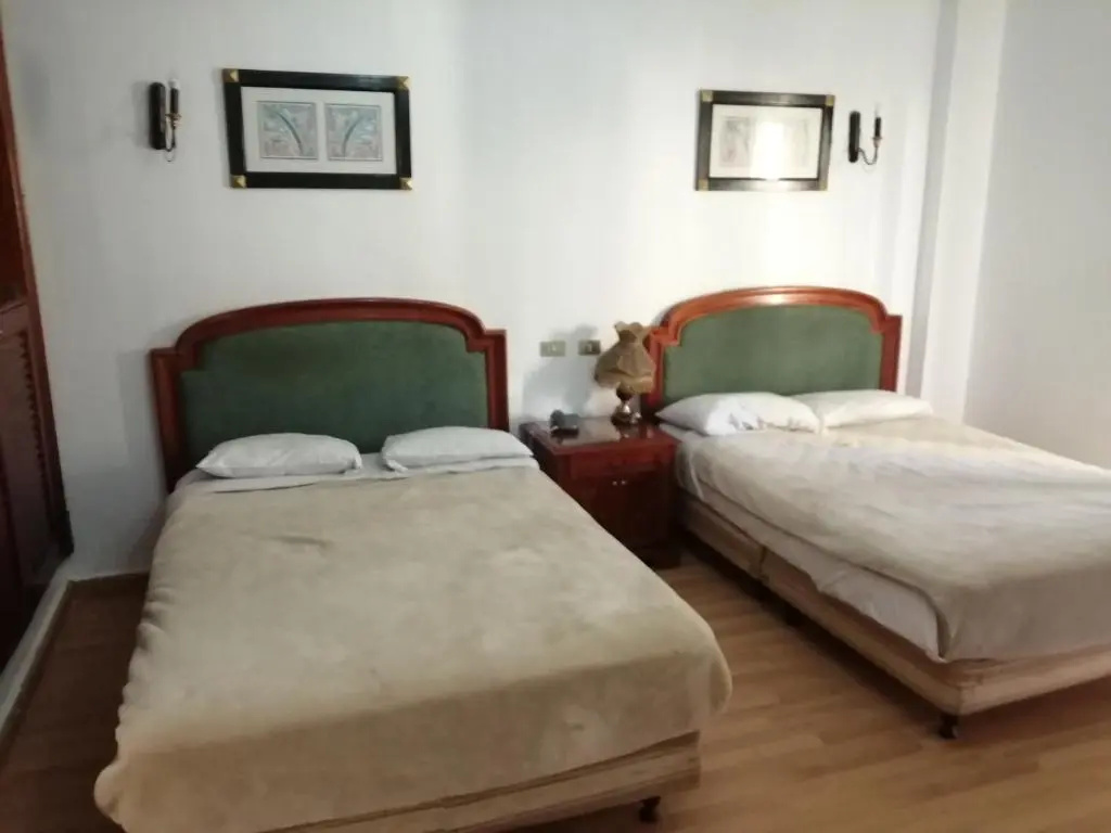 Standard Double room (full double bed)