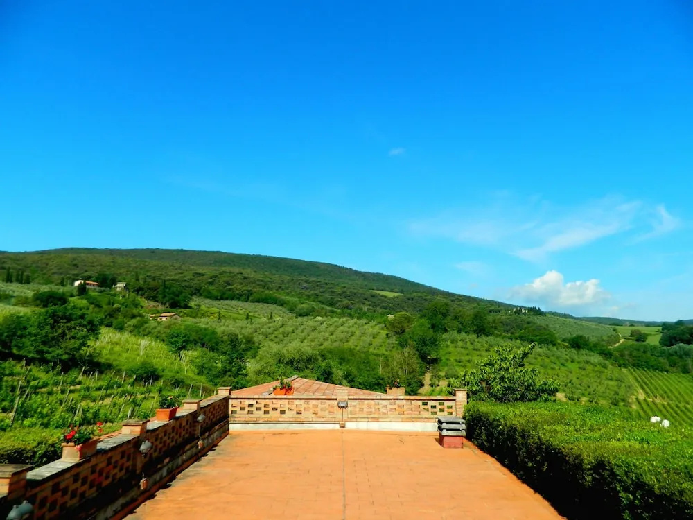 Mimosa in San Gimignano