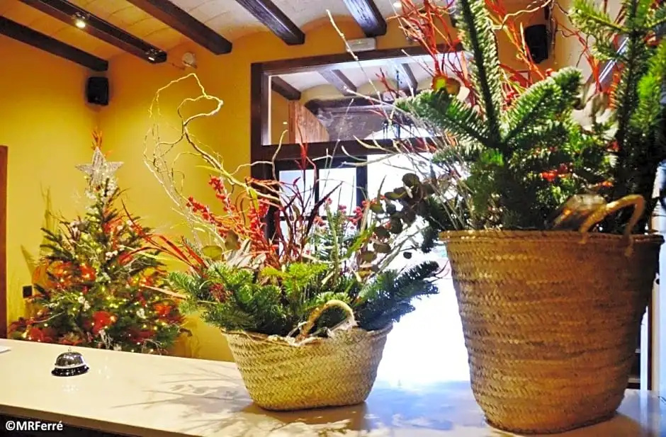 Hotel Can Panyella - Chambres