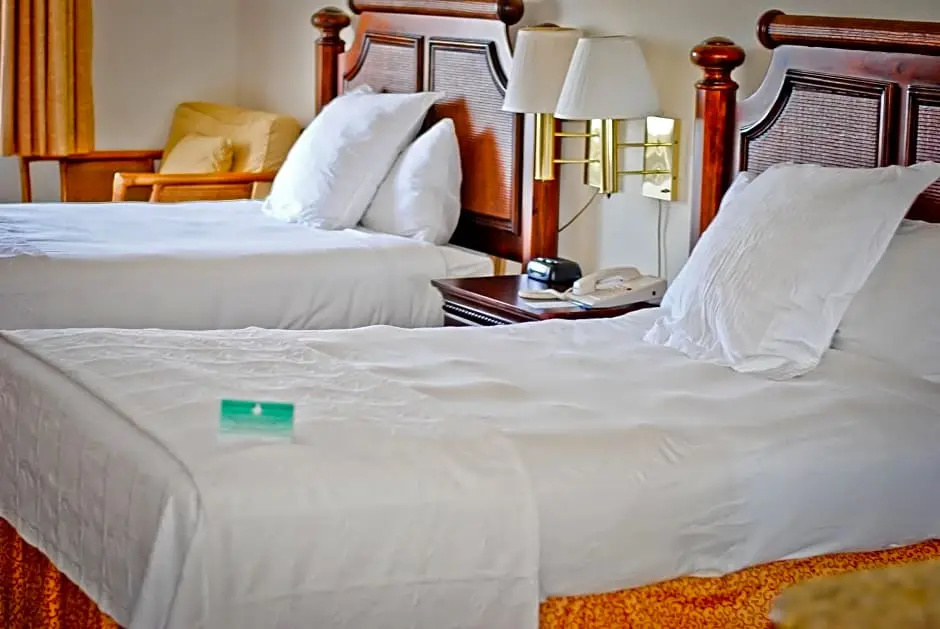 Amelia Hotel at the Beach Room Type - Deluxe Room