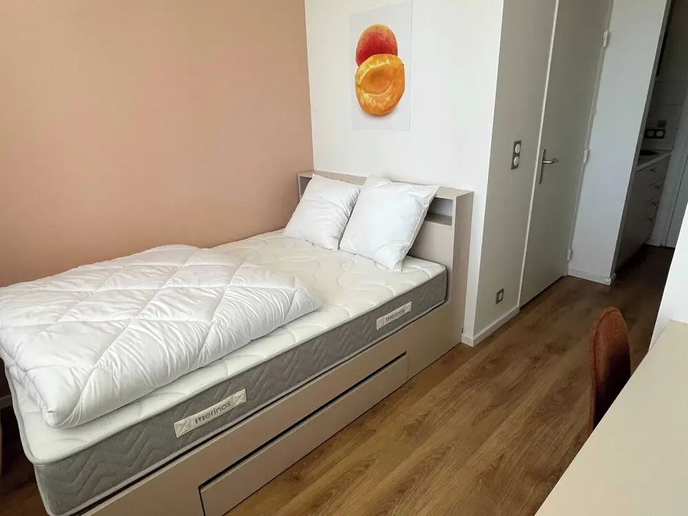 Afficher la photo 6 — Comfort Studio in a Premium Residence- Sport/cinema