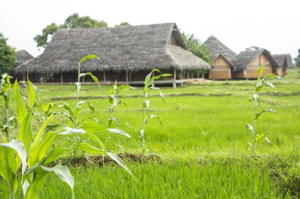 Aliya Resort And Spa