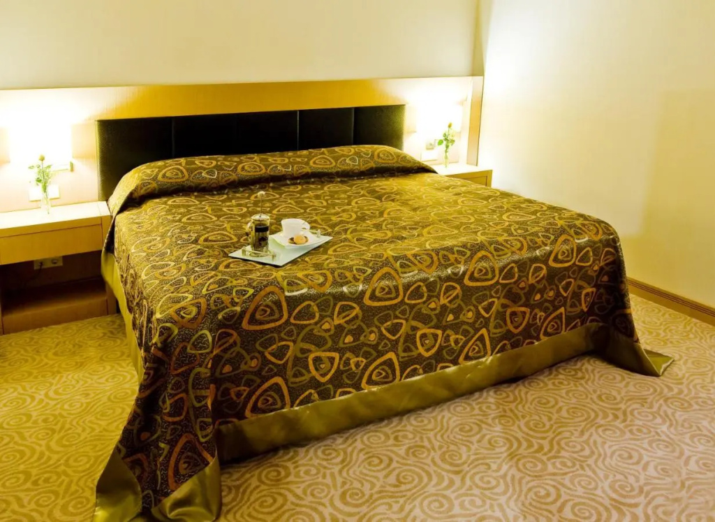 Adrina Termal Health & SPA Hotel - Général