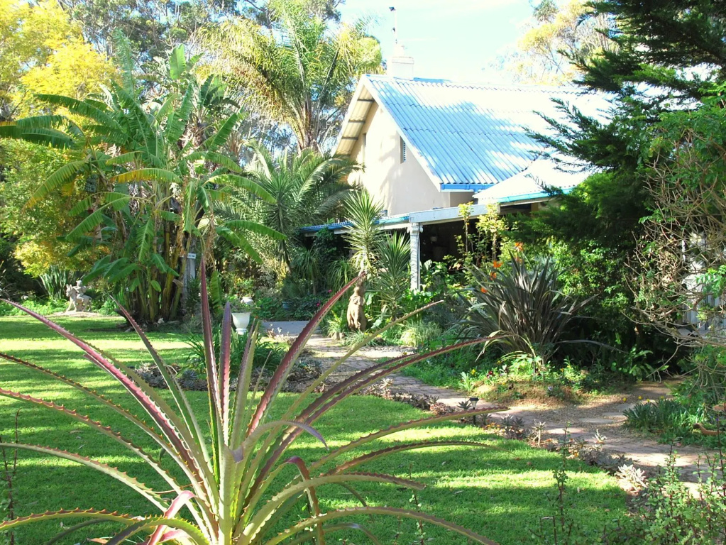 Homestead B & B